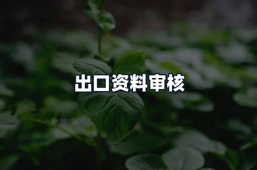 出口资料审核